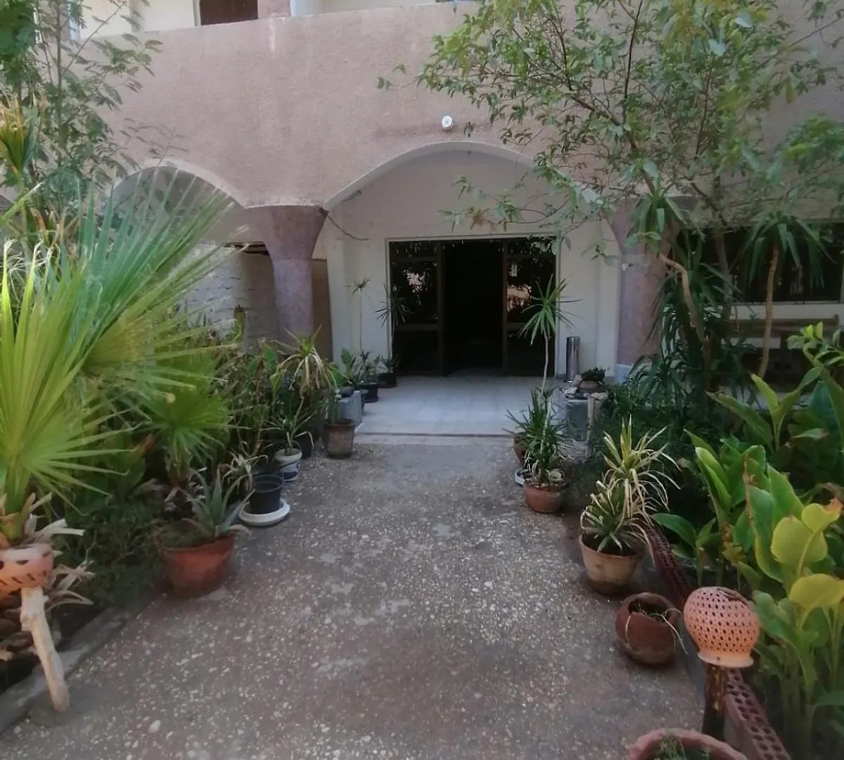 Hotel Rose Guest House Luxor Egypt