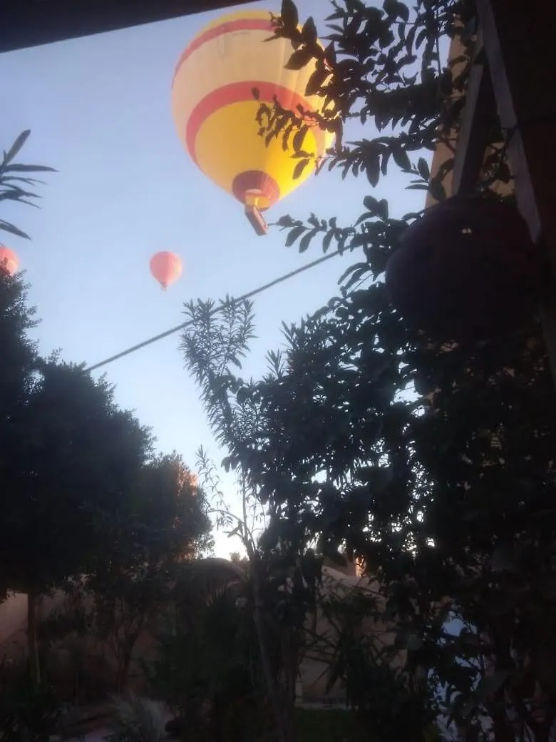 Rose Guest House Luxor