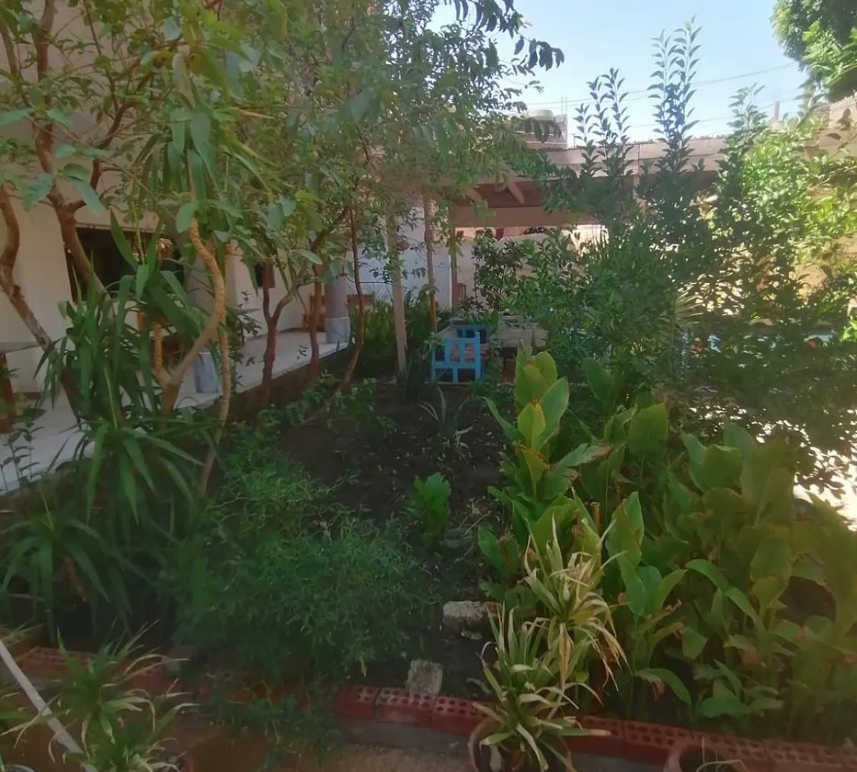 Rose Guest House Luxor 0*,