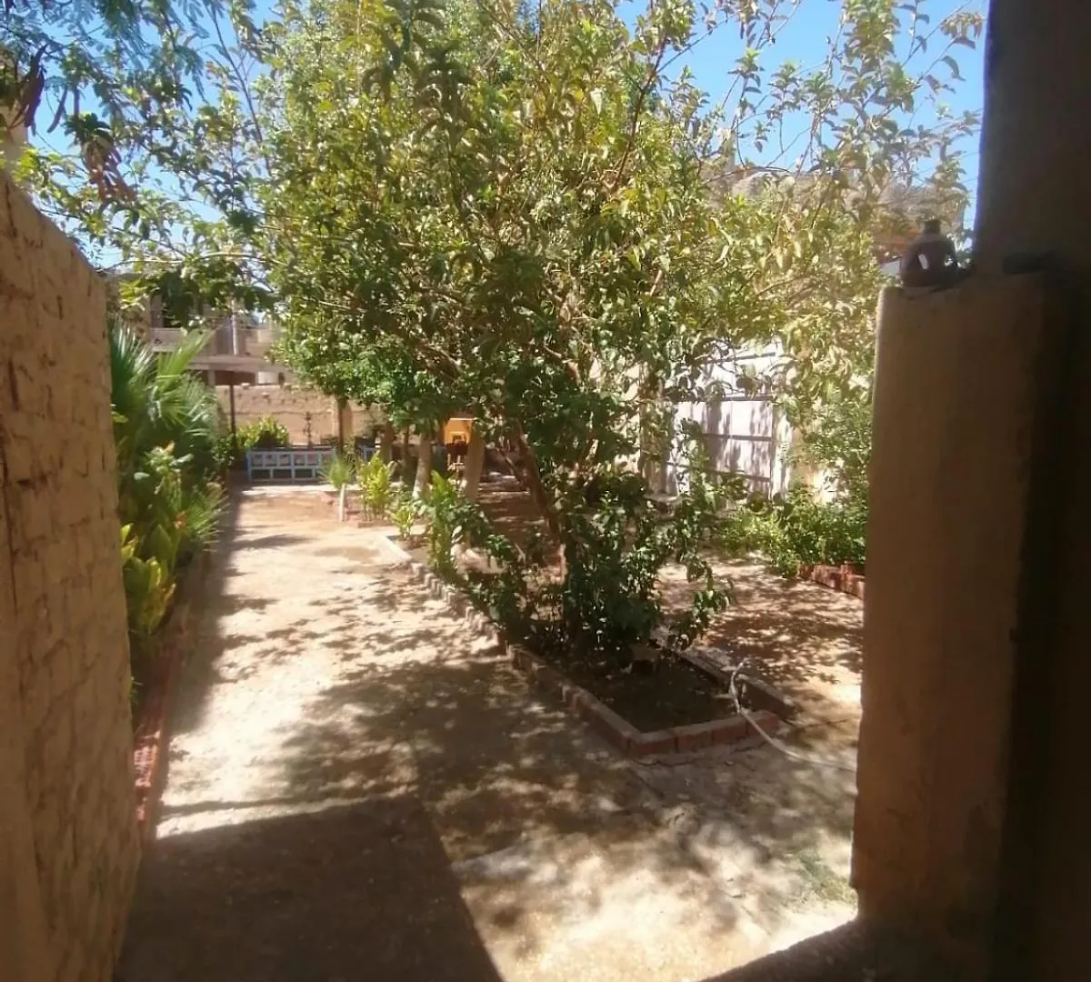 Rose Guest House Luxor Hotel