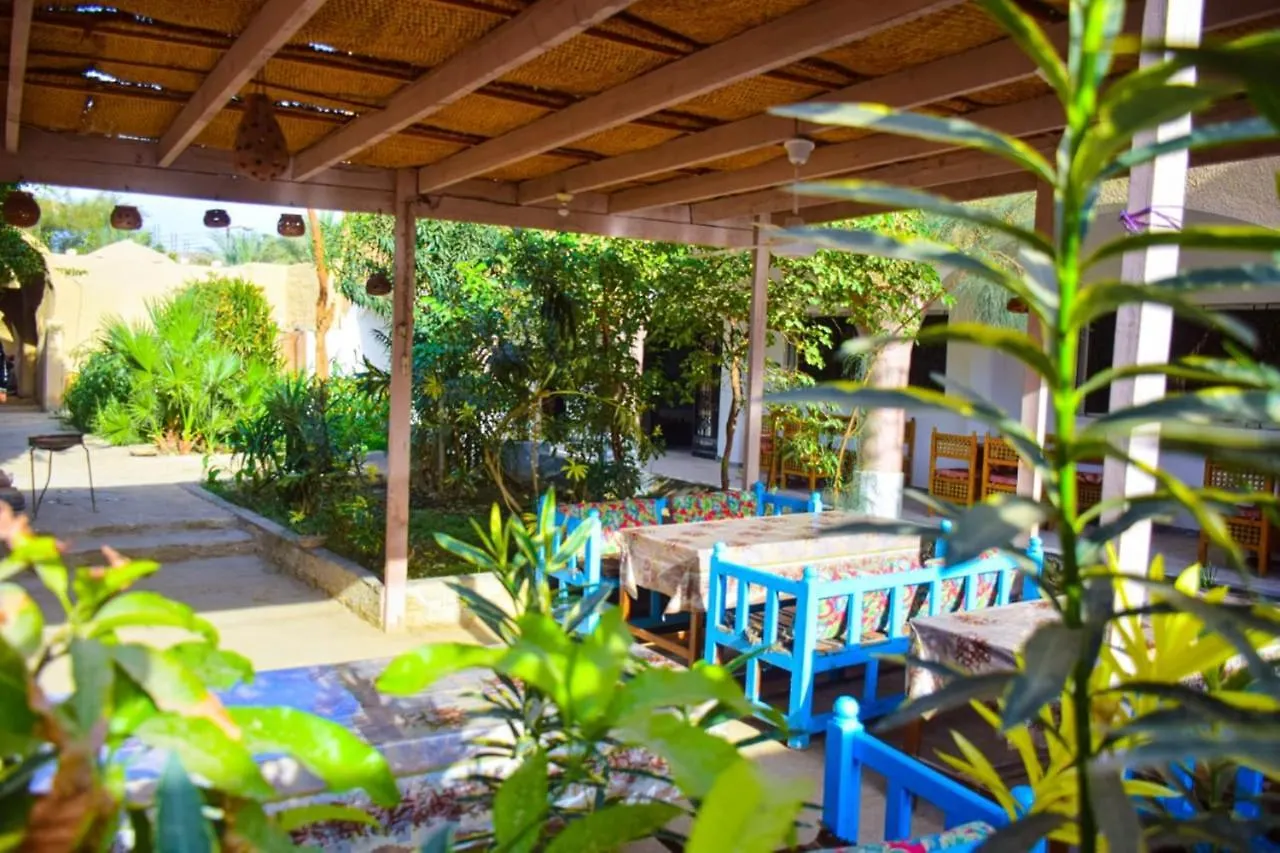 Rose Guest House Луксор
