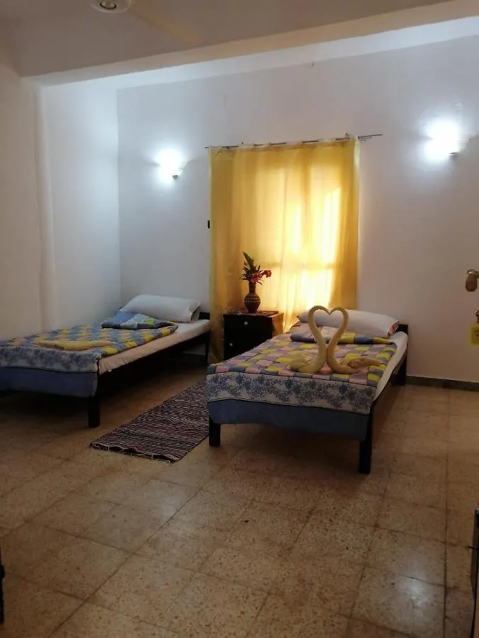 Rose Guest House Луксор Египет