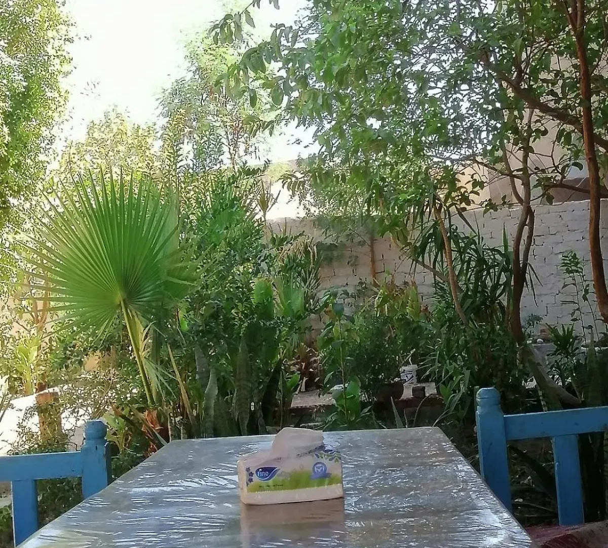 Rose Guest House Луксор