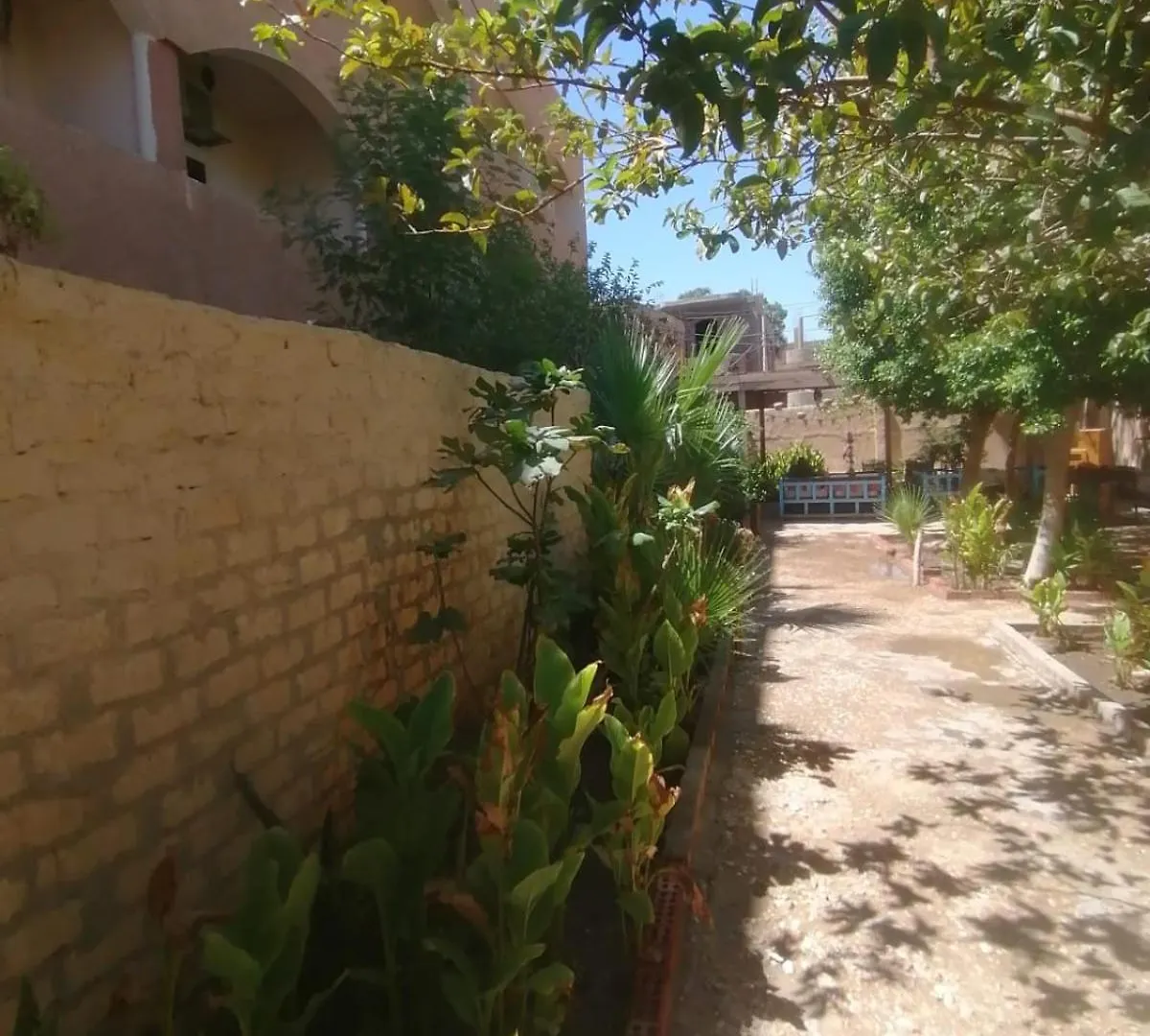 Отель Rose Guest House Луксор Египет