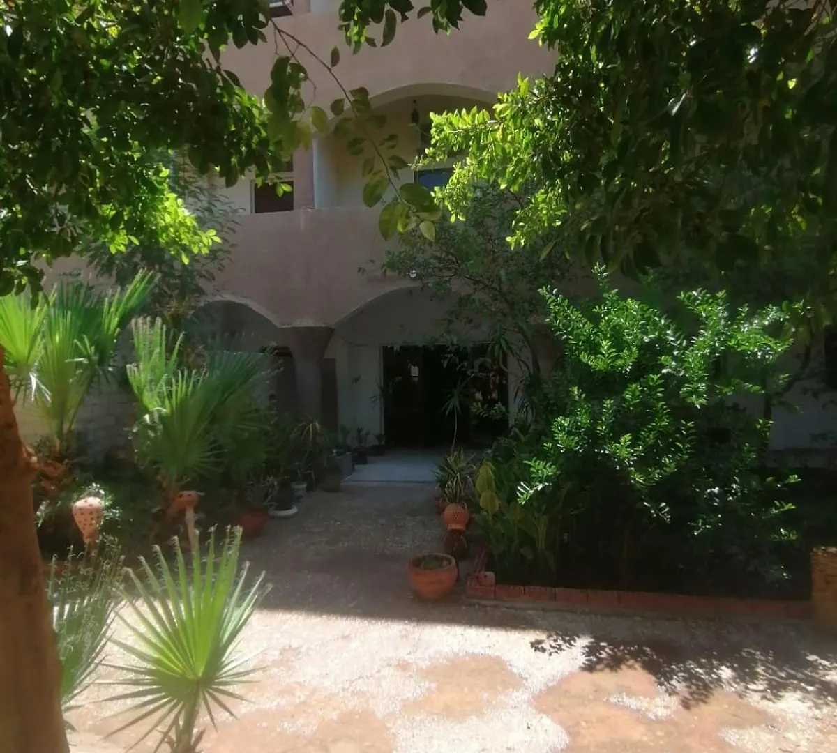 Rose Guest House Луксор