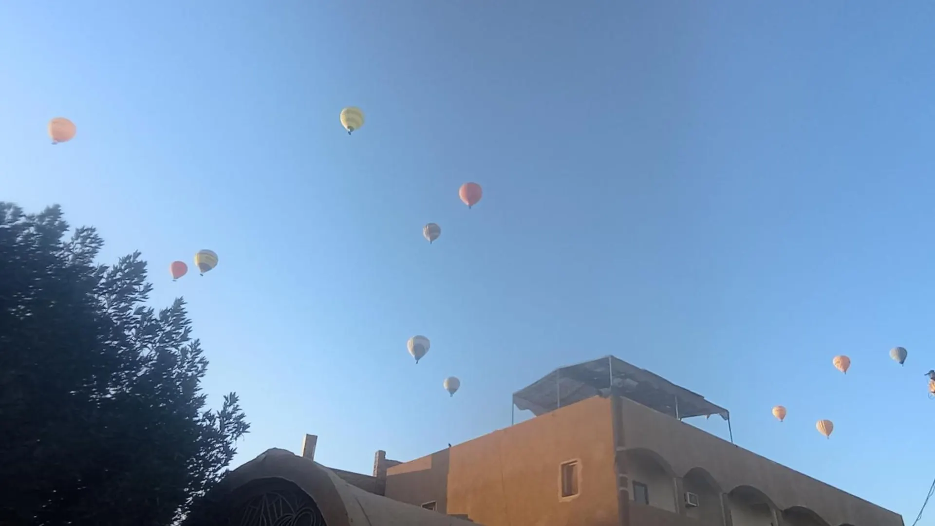 Rose Guest House Луксор Египет